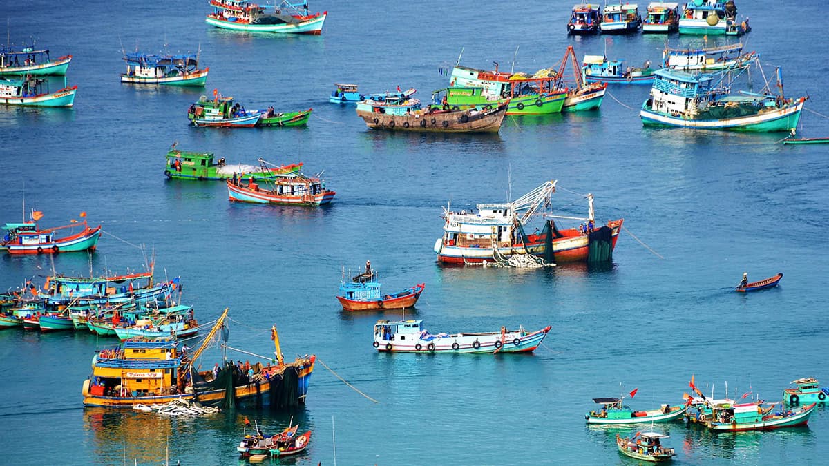 tinh hinh nuoi trong thuy san tai nuoc ta hien nay 3